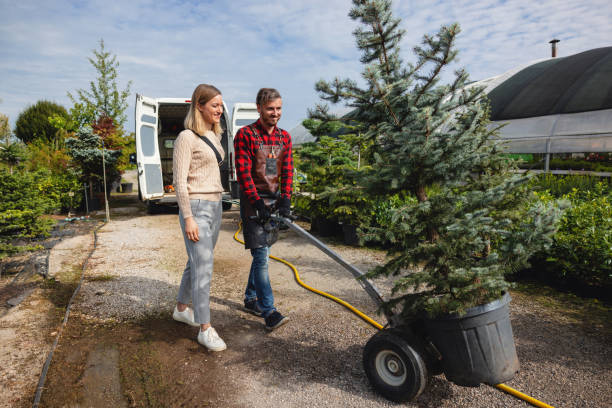 Best Tree Cutting Near Me  in Haskell, OK